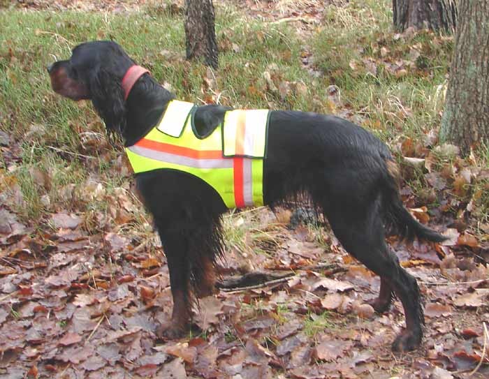 Hunter Reflektierende Sicherheitsweste Warnweste für Hunde